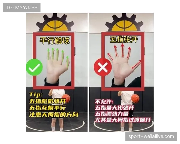 篮球规则深度解析：投篮动作判定标准与生效条件