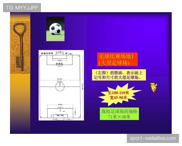 足球判罚标准详解：关键判定条件与裁判执行原则解析